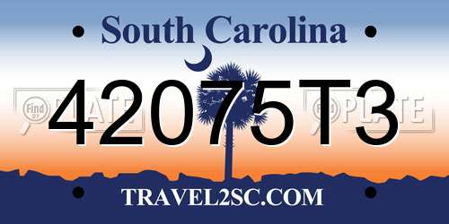 42075T3 South Carolina License Plate