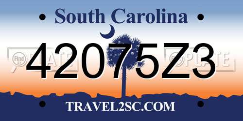 42075Z3 South Carolina License Plate