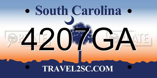 4207GA South Carolina License Plate