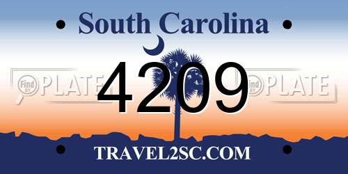 4209 South Carolina License Plate