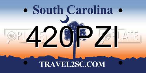 420PZI South Carolina License Plate