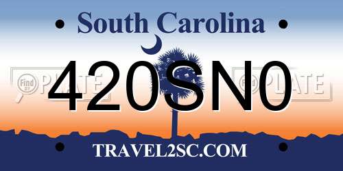 420SN0 South Carolina License Plate