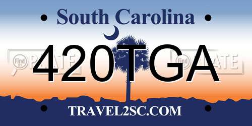 420TGA South Carolina License Plate