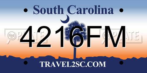 4216FM South Carolina License Plate