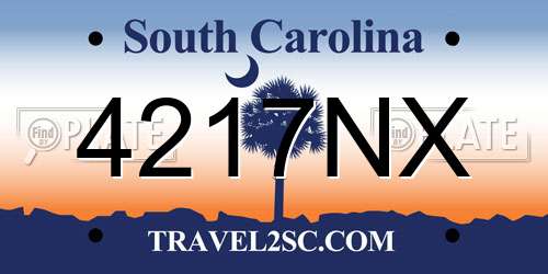 4217NX South Carolina License Plate