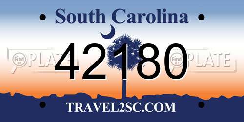 42180 South Carolina License Plate