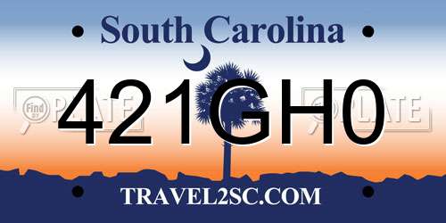 421GH0 South Carolina License Plate