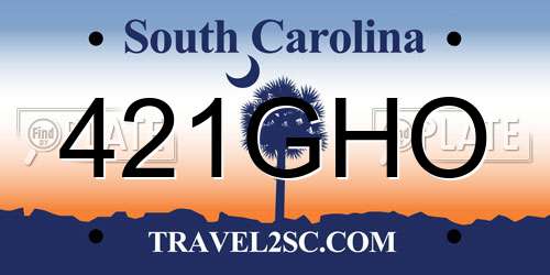 421GHO South Carolina License Plate