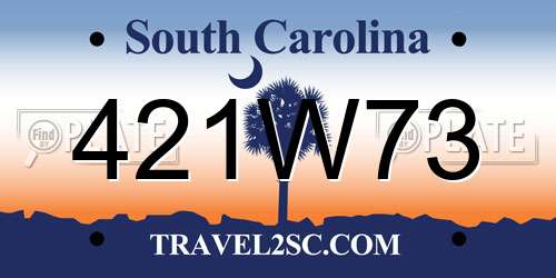 421W73 South Carolina License Plate