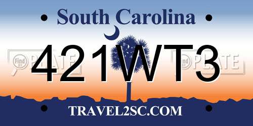 421WT3 South Carolina License Plate