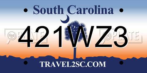 421WZ3 South Carolina License Plate