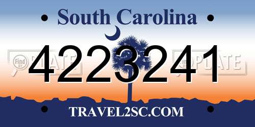 4223241 South Carolina License Plate