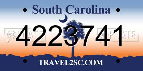 4223741 South Carolina License Plate
