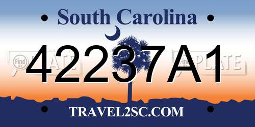 42237A1 South Carolina License Plate