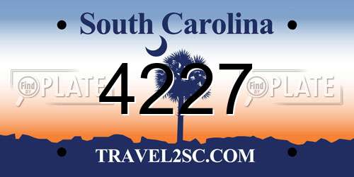 4227 South Carolina License Plate