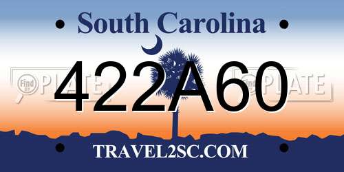 422A60 South Carolina License Plate