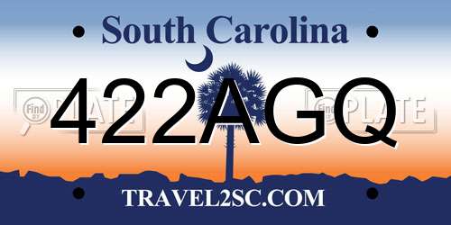 422AGQ South Carolina License Plate