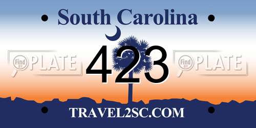 423 South Carolina License Plate