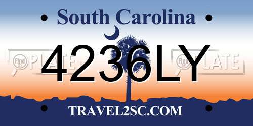 4236LY South Carolina License Plate