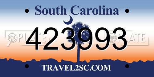 423993 South Carolina License Plate