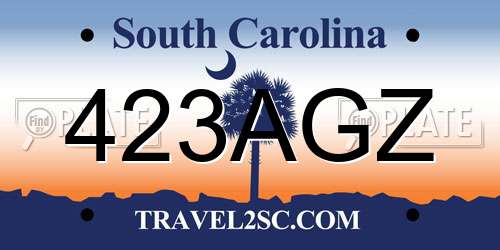 423AGZ South Carolina License Plate