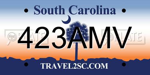 423AMV South Carolina License Plate