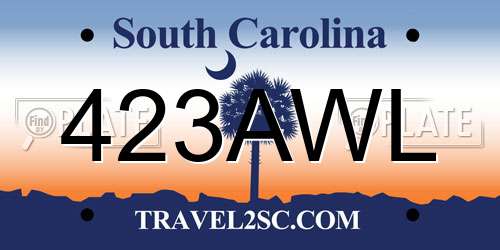 423AWL South Carolina License Plate