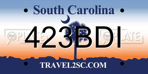 423BDI South Carolina License Plate