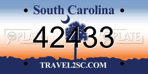 42433 South Carolina License Plate