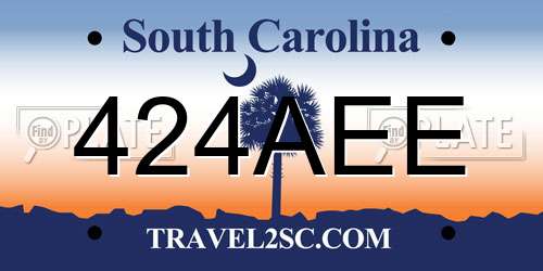 424AEE South Carolina License Plate