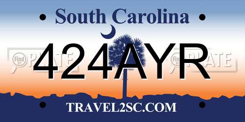 424AYR South Carolina License Plate