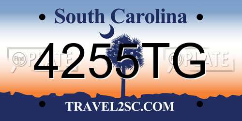 4255TG South Carolina License Plate