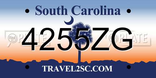 4255ZG South Carolina License Plate