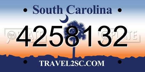 4258132 South Carolina License Plate