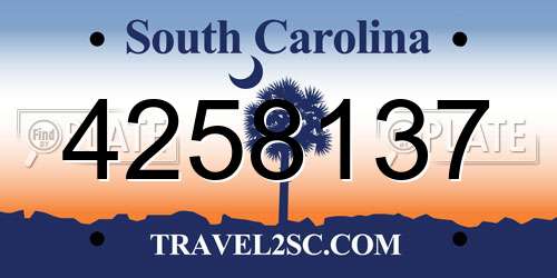 4258137 South Carolina License Plate
