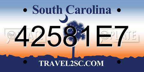 42581E7 South Carolina License Plate