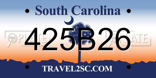 425B26 South Carolina License Plate