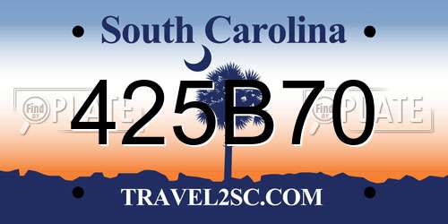 425B70 South Carolina License Plate