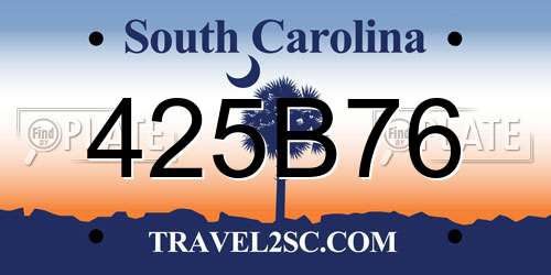 425B76 South Carolina License Plate