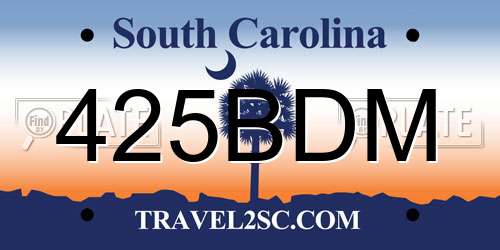 425BDM South Carolina License Plate