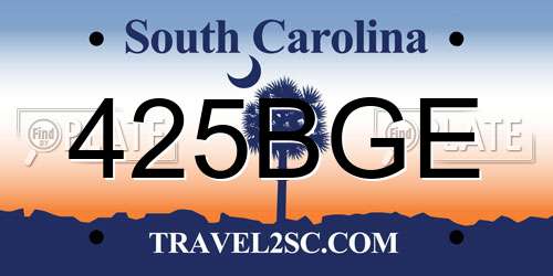 425BGE South Carolina License Plate