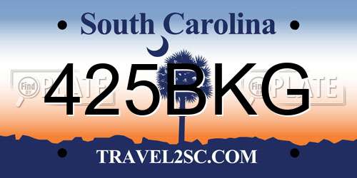 425BKG South Carolina License Plate