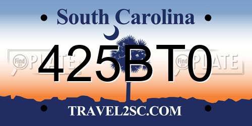 425BT0 South Carolina License Plate