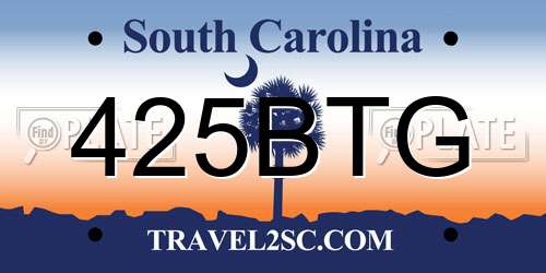 425BTG South Carolina License Plate
