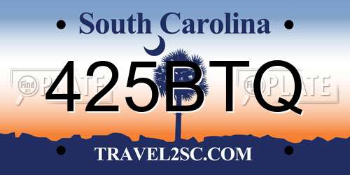 425BTQ South Carolina License Plate