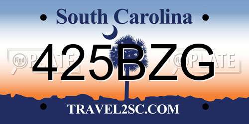 425BZG South Carolina License Plate