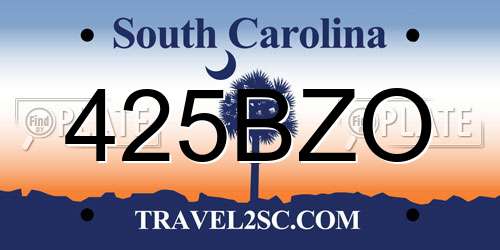 425BZO South Carolina License Plate