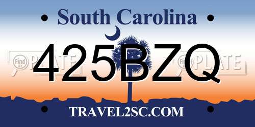 425BZQ South Carolina License Plate
