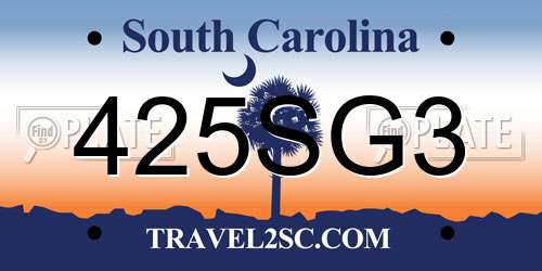 425SG3 South Carolina License Plate