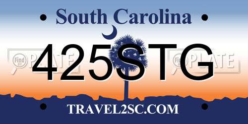 425STG South Carolina License Plate